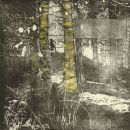 Dixons Hollow. On the Rise 02